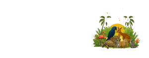 Jardín del Papagayo | Santuario Animal y Aventura Familiar en Peñíscola
